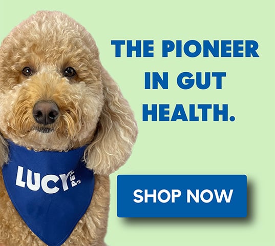 Healthy Natural Pet Products Online Lucy Pet Products