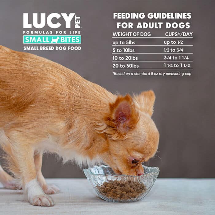 Salmon, Pumpkin and Quinoa Dog Food- SMALL BITES 4.5 LB - Image 6