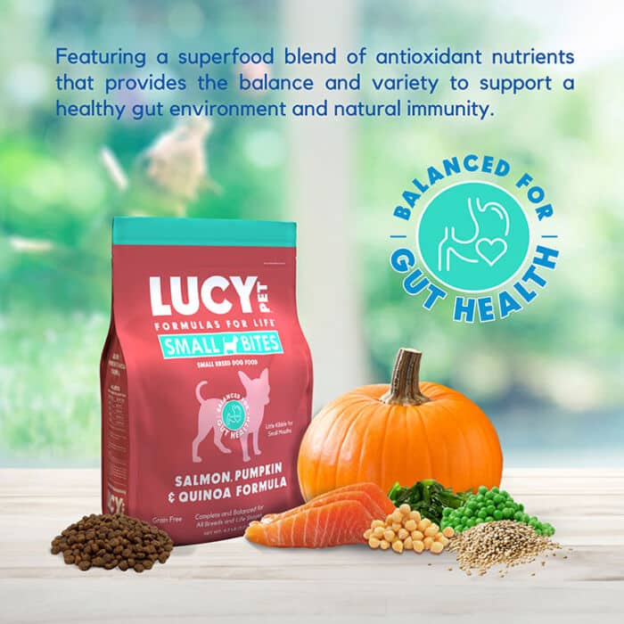 Salmon, Pumpkin and Quinoa Dog Food- SMALL BITES 4.5 LB - Image 7