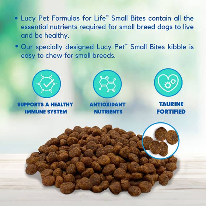 Salmon, Pumpkin and Quinoa Dog Food- SMALL BITES 4.5 LB - Image 4