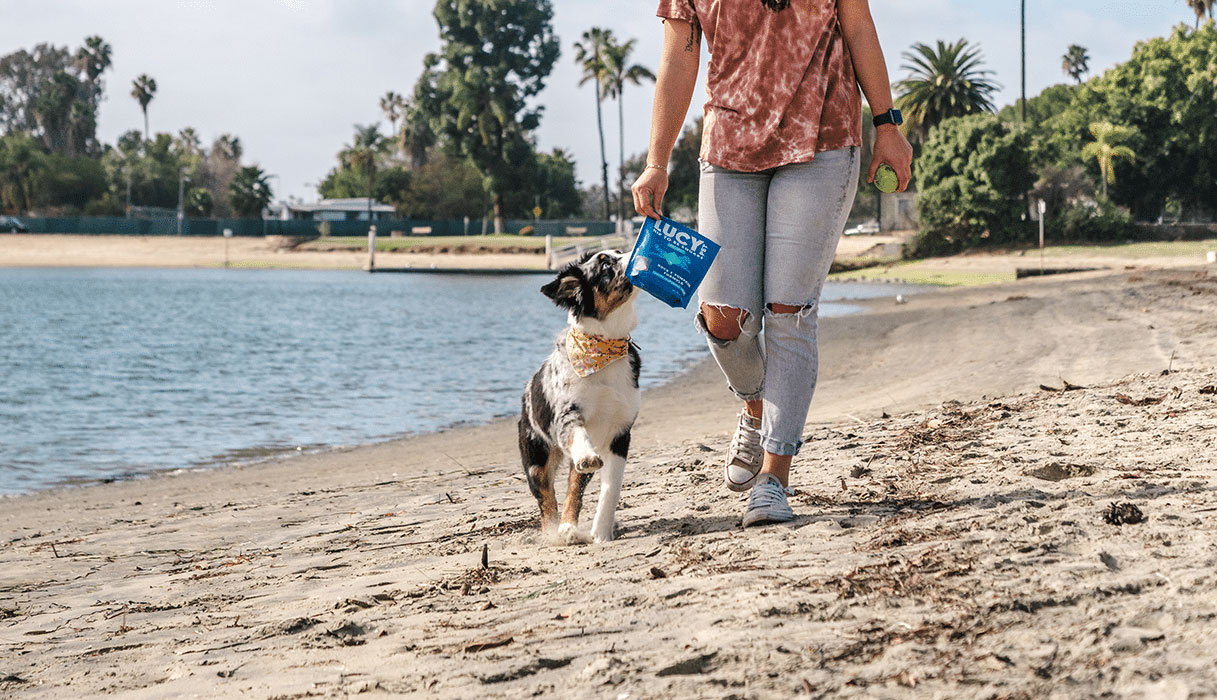 Healthy & Natural Pet Products Online Lucy Pet Products