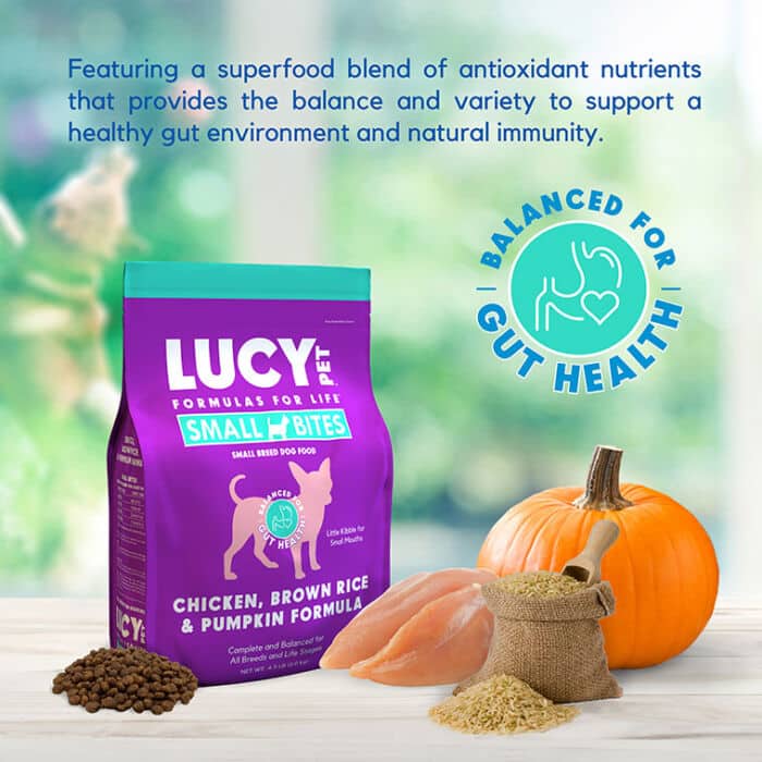 Chicken, Brown Rice & Pumpkin Limited Ingredient Diet Formula Dog Food SMALL BITE 4.5LB - Image 7
