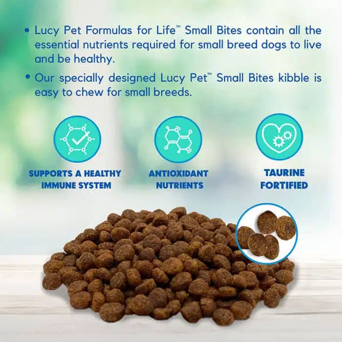 Chicken, Brown Rice & Pumpkin Limited Ingredient Diet Formula Dog Food SMALL BITE 4.5LB - Image 9
