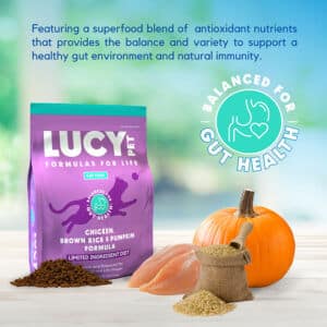 Chicken Cat food limited Ingrediant Diet