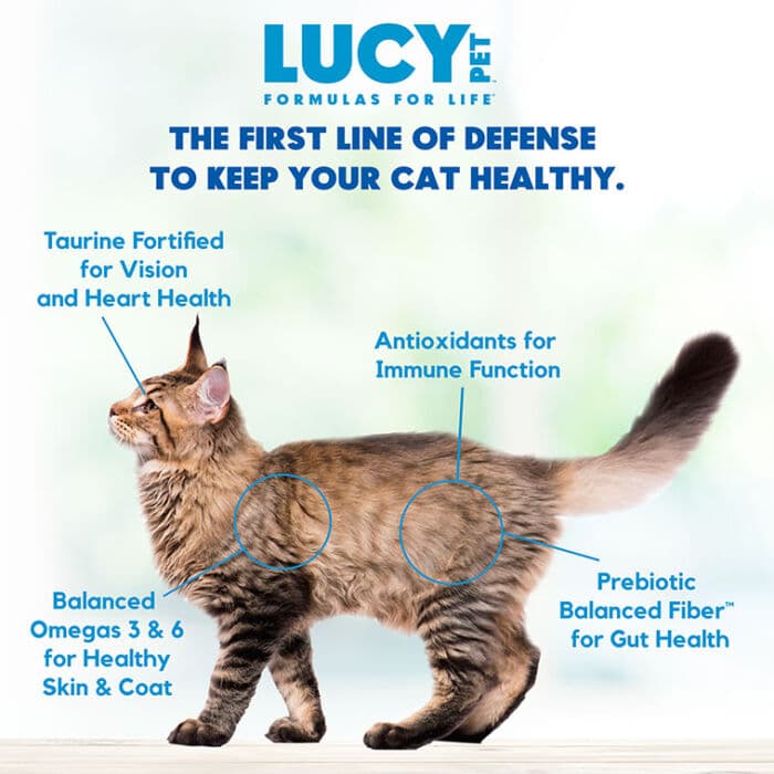 Lucy Pet® Chicken, Brown Rice and Pumpkin Limited Ingredient Cat 4 Lb - Image 6