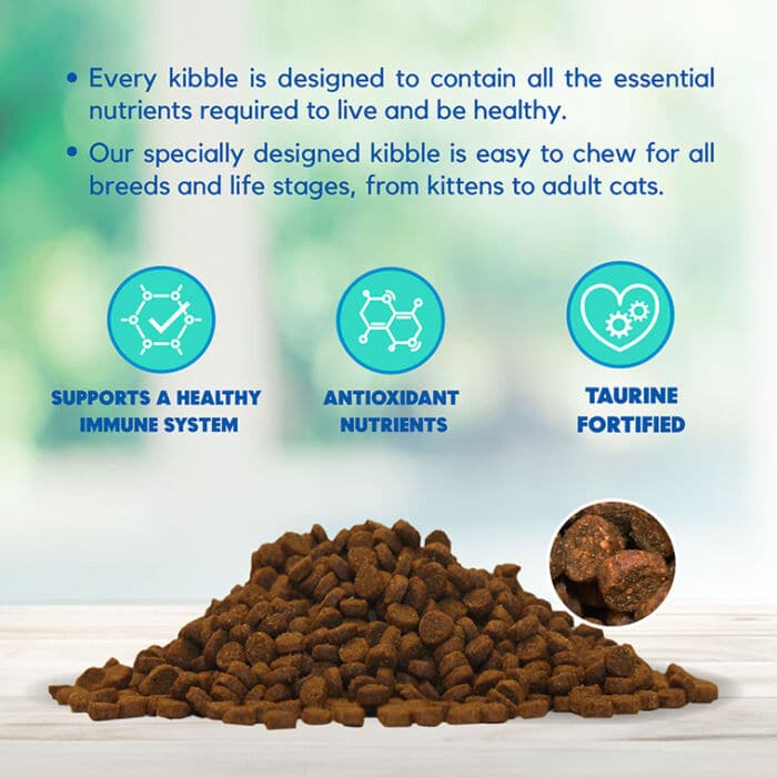 Lucy Pet® Chicken, Brown Rice and Pumpkin Limited Ingredient Cat 4 Lb - Image 7
