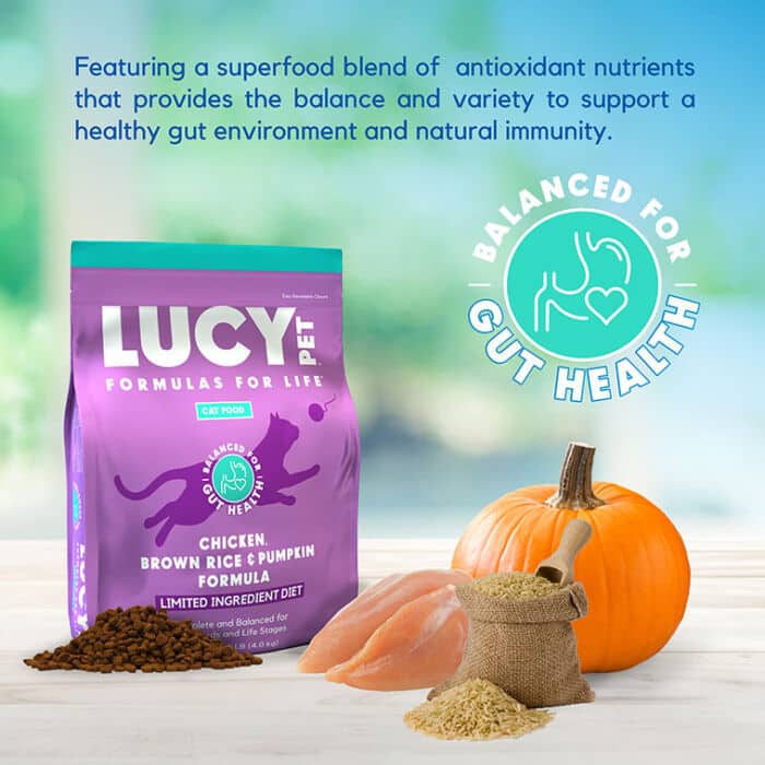 Lucy Pet® Chicken, Brown Rice & Pumpkin, LID Cat Food 10lb - Image 4