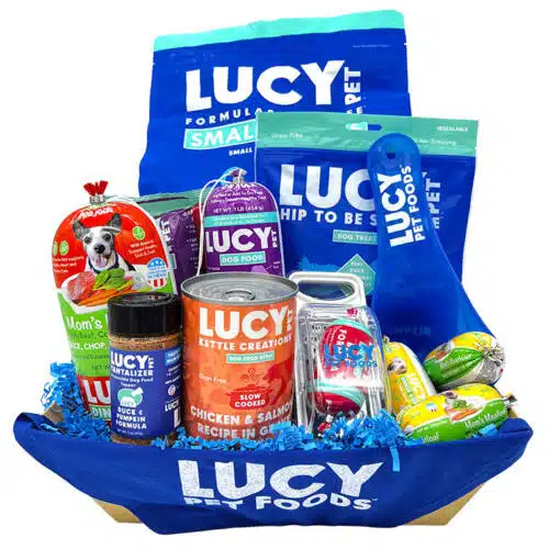 Dog Holiday Gift Basket Duck, Pumpkin & Quinoa Small Bite