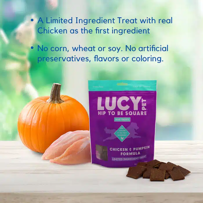 Hip to Be Square™ Chicken and Pumpkin Dog Treats - Image 3