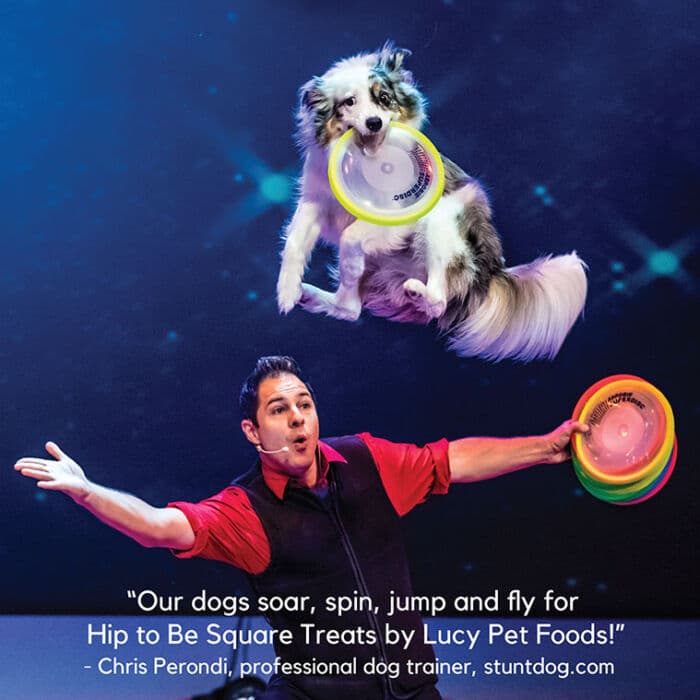 Hip to Be Square™ Chicken and Pumpkin Dog Treats - Image 7