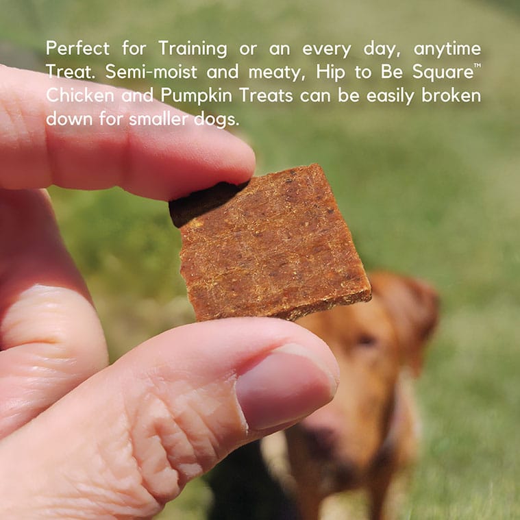 Hip to Be Square™ Chicken and Pumpkin Dog Treats - Image 6