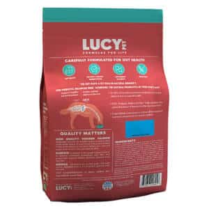 Salmon and Pumpkin Dry Dog food by Lucy Pet