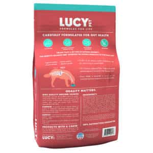 Salmon and Pumpkin Dry Dog food by Lucy Pet
