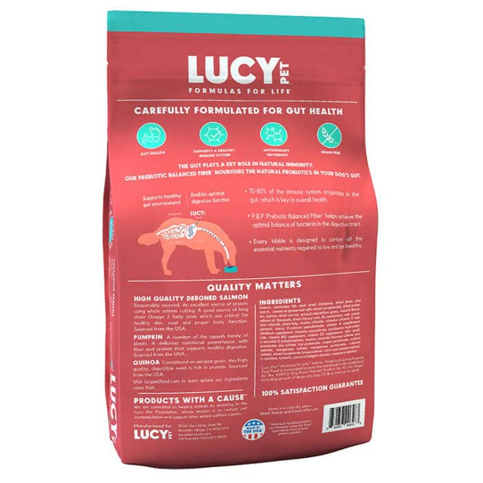 Salmon, Pumpkin & Quinoa Dog Food - Exclusive Gut Health Formula - Image 10