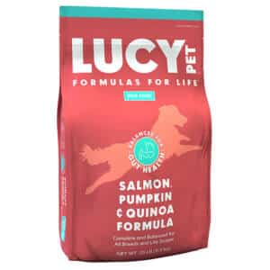 Salmon and Pumpkin Dry Dog food by Lucy Pet