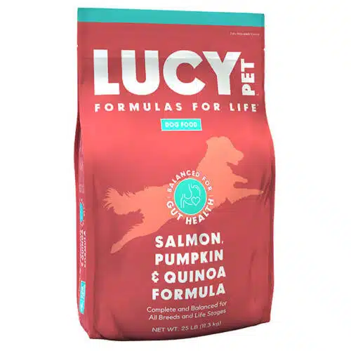 Salmon and Pumpkin Dry Dog food by Lucy Pet