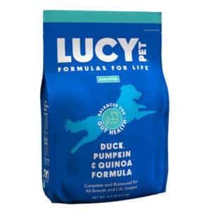 Duck and Pumpkin and quinoa Dry dog food