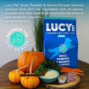 Duck and Pumpkin and quinoa Dry dog food
