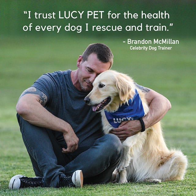 Duck, Pumpkin and Quinoa Dog Food-Exclusive Gut Health Formula - Image 5