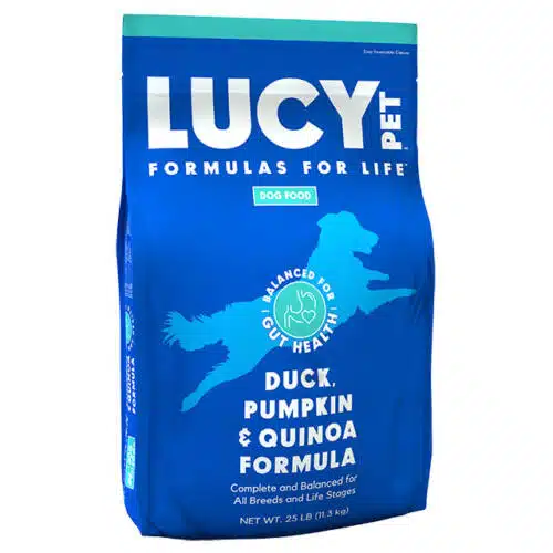 Duck and Pumpkin and quinoa Dry dog food