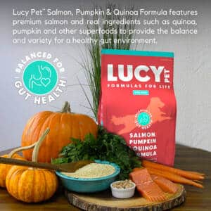 Salmon and Pumpkin Dry Dog food by Lucy Pet