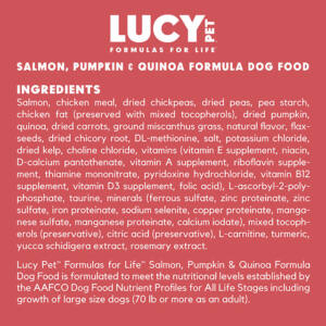 Salmon and Pumpkin Dry Dog food by Lucy Pet
