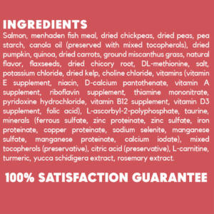 Salmon, Pumpkin & Quinoa Dog Food