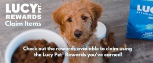 Lucy Pet Rewards Program