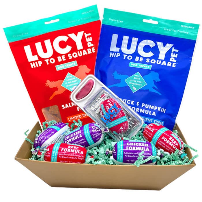 Dog Gold Treat Basket