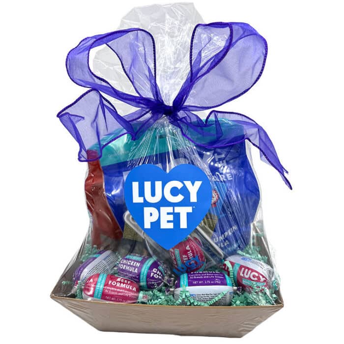 Dog Gold Treat Basket - Image 2