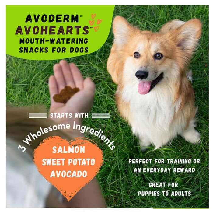 AVODERM® AVOHEARTS™ Salmon & Avocado Formula - Image 4