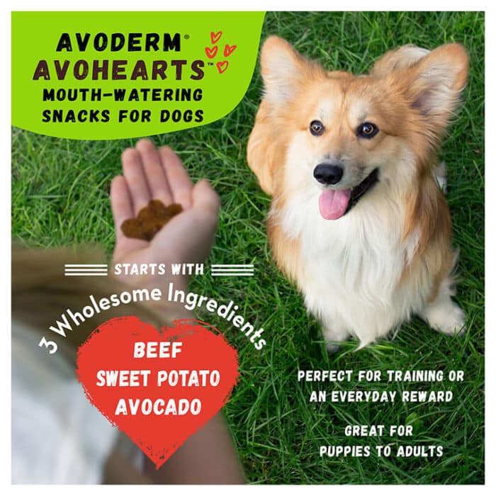 AVODERM® AVOHEARTS™ Beef & Avocado Formula - Image 3