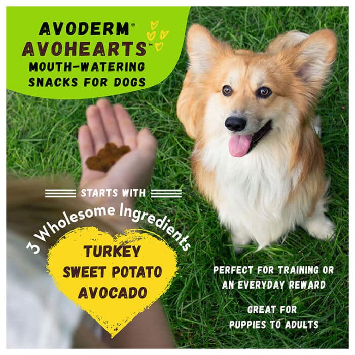 AVODERM® AVOHEARTS™ Turkey & Avocado Formula - Image 2