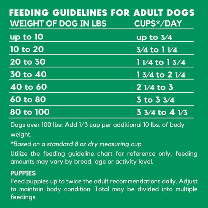 Lucy Pet® Vegetarian Formula Dog Food Bundle - Image 7