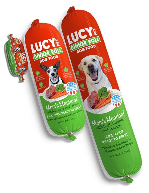 Dinner Rolls Lucy Pet Products