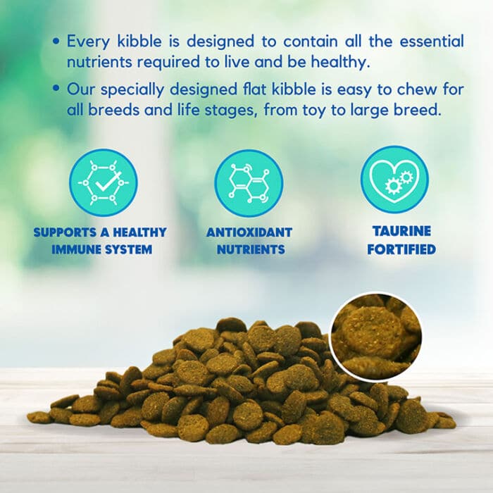Lucy Pet® Vegetarian Formula Dog Food Bundle - Image 4