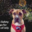 Pet Safety Tips for 4th of July