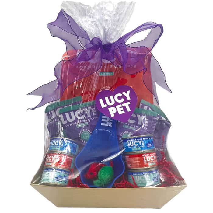 Cat food gift basket-Salmon - Image 2