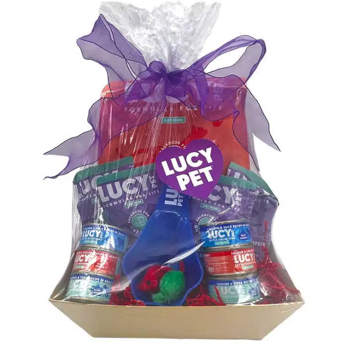 Cat food gift basket-Salmon - Image 2