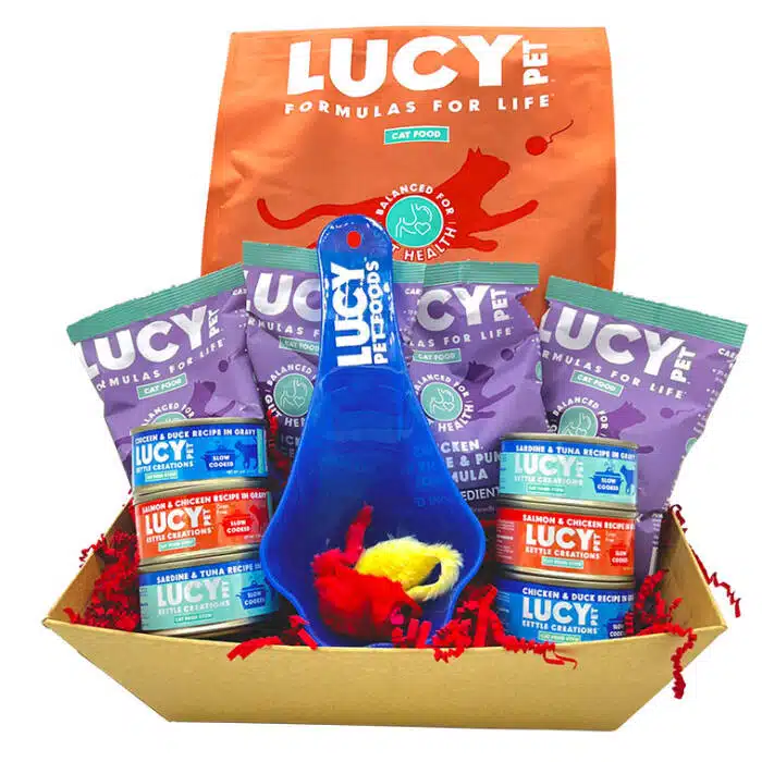 Cat food gift basket-Salmon