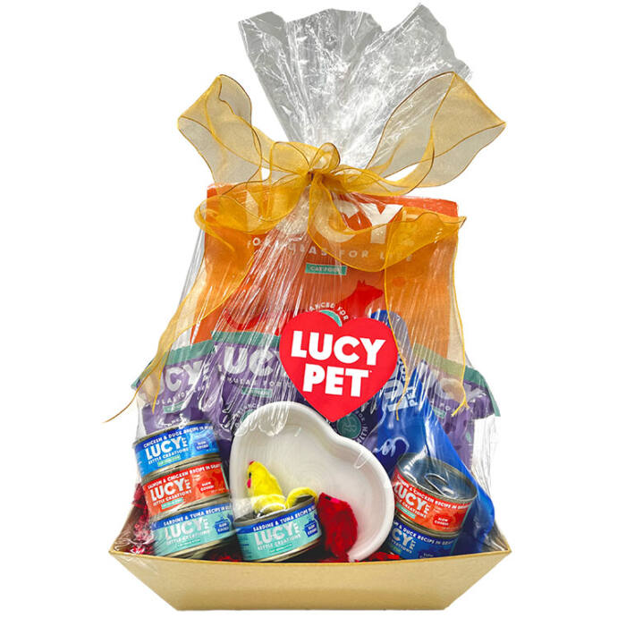 Cat Bowl Gift Basket - Salmon, Pumpkin & Quinoa - Image 2