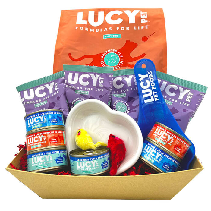 Cat Bowl Gift Basket - Salmon, Pumpkin & Quinoa