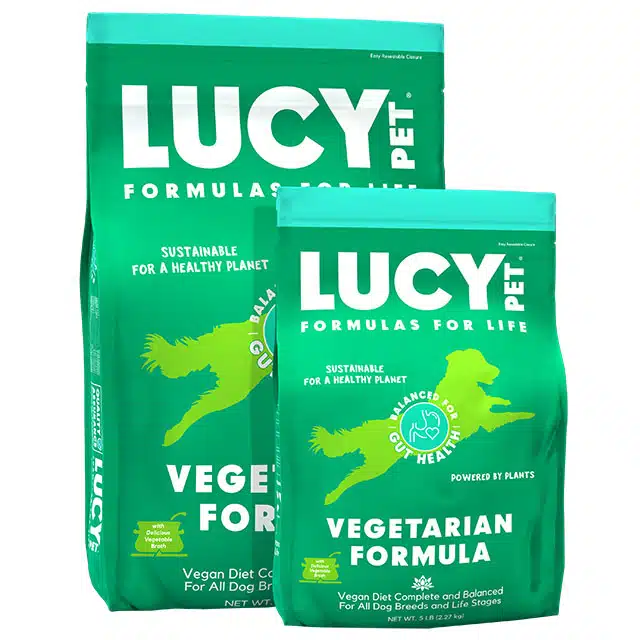 Vegitarian Recipe