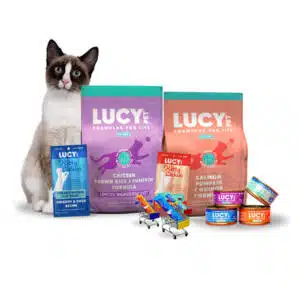 Cat gift Items