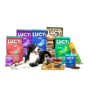 Lucy Pet Dog gift items