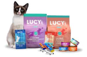 Cat food items
