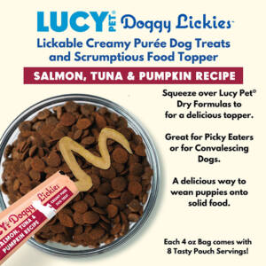 Dog treats with Salmon Tuna Pumpkin