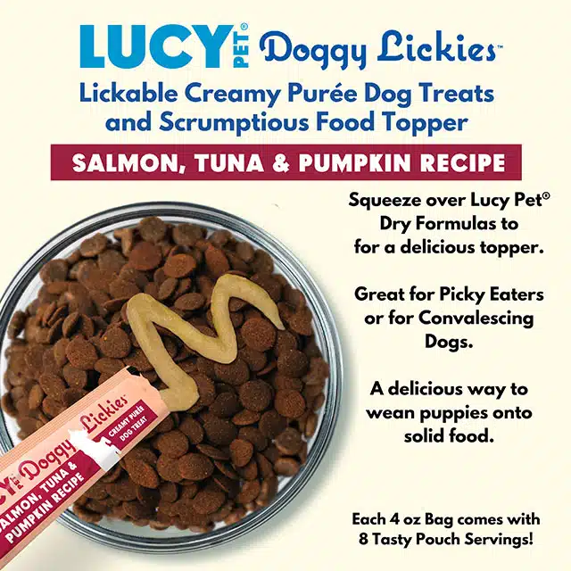Dog treats with Salmon Tuna Pumpkin