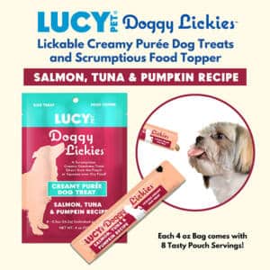 Dog treats with Salmon Tuna Pumpkin