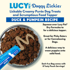 Dog treats with Duck Pumpkin
